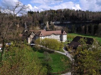 Percorso A piedi Hauterive (FR) - Circuit Hauterive - Photo