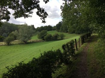 Trail Mountain bike Herve - Gva Mortroux - Photo