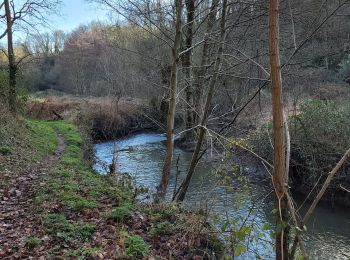 Tour Wandern Montrevault-sur-Èvre - le moulin du GOUAS    ST Pierre Montlimart - Photo