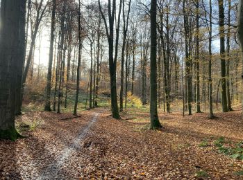 Tour Mountainbike Uccle - Ukkel - Château de La Hulpe - Photo