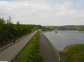 Tour Zu Fuß Stolberg - Schevenhütte Rundweg 3 - Photo