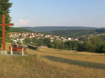 Excursión A pie Weibersbrunn - Roter Schmetterling, Rundwanderweg Heigenbrücken - Photo