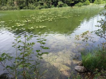 Tour Wandern Le Frasnois - Pic de l'Aigle 14.7.24 - Photo