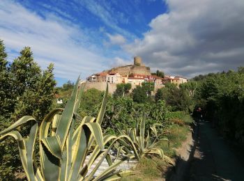 Percorso Marcia Laroque-des-Albères - La Roque des Alberes, randonnée et botanique - Photo