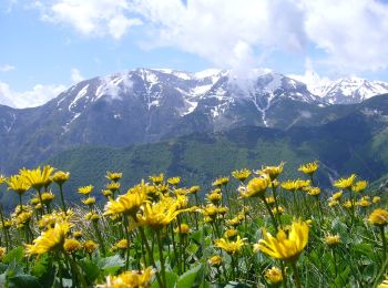 Tour Zu Fuß Guardiagrele - Bocca di Valle - Rifugio Pomilio - Photo