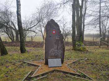 Trail On foot Lierneux - Lierneux 23 - Photo