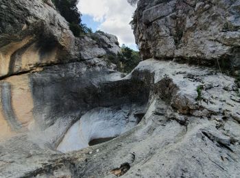 Excursión Senderismo Auriol - le ravin des Encanaux - Photo