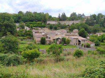 Tour Wandern Saint-Vincent-de-Durfort - Promenade chien 2 - Photo