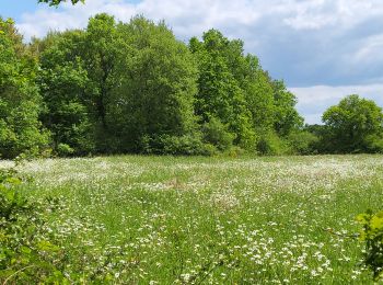 Tour Wandern Chazelles - pranzac1405 - Photo