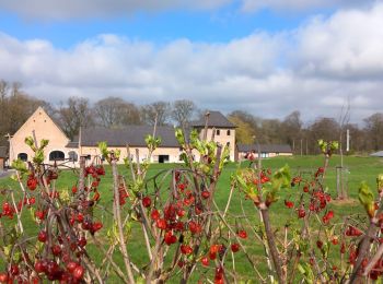 Tour Wandern Incourt - #240318 - Piétrebais, Sart-Biez, Petit et Grand Haquedeau*** - Photo