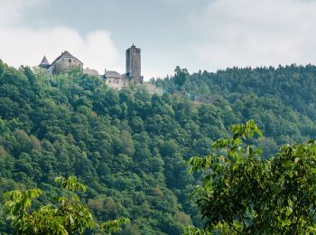 Trail On foot Waldkirchen am Wesen - 4/4-Blick-Runde - Photo