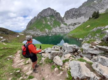 Randonnée Marche La Chapelle-d'Abondance - CORNETTES DE BISE: LAC DE DARBON - Photo