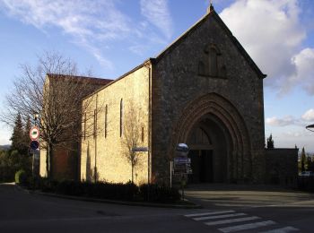 Percorso A piedi Gambassi Terme - Dolce campagna, antiche mura 15 - Photo