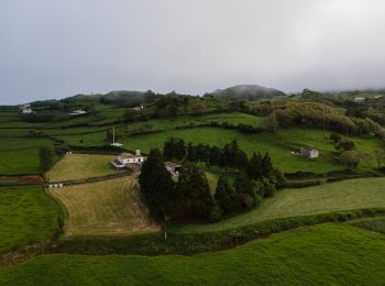 Tour Zu Fuß Santo Espírito - PR4SMA Santo Espírito - Maia - Photo