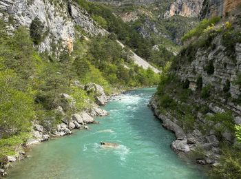 Excursión Senderismo Trigance - Pont du Carajuan Rougon Pont du Tusset Belvédère de Rancoumas Trace réelle - Photo