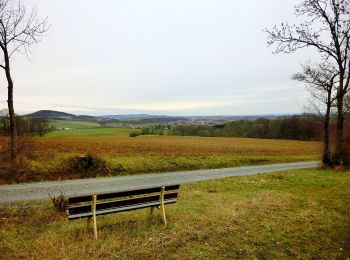 Excursión A pie Hummeltal - Mistelbach Rundwanderweg 