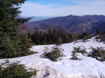 Trail Snowshoes Boutx - 2021-02-16  raquettes le mourtis - Photo