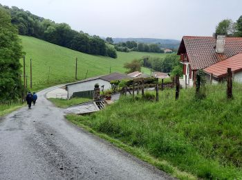 Tour Wandern Charritte-de-Bas - 8 charritte - Photo