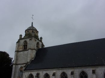 Percorso Marcia Hénouville - 20240125-Hénouville  - Photo