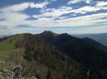 Tour Wandern Arvière-en-Valromey - LE GRAND COLOMBIER - Photo