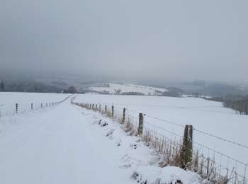 Trail Walking Tenneville - rando wyompont 11-01-2026 - Photo