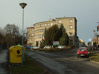 Percorso A piedi Mšecké Žehrovice - NS Novostrašecká - Photo