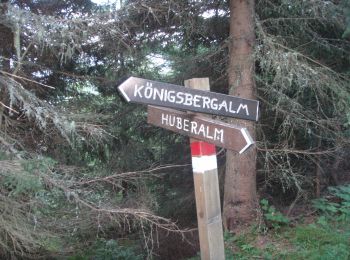 Percorso A piedi Dienten am Hochkönig - Sonnberg-Königsbergalm - Photo