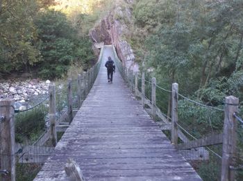 Tocht Stappen Saint-Sauveur-sur-Tinée - St Sauveur Tinee par Abeliera - Photo