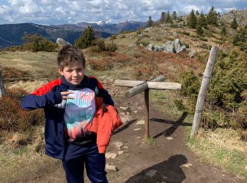 Tour Wandern Luttenbach-près-Munster - Côté petit ballon - Photo