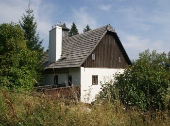 Tour Zu Fuß Gemeinde Reichenau an der Rax - Gsolhirnsteig - Bergstation - Photo