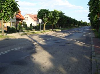 Tour Zu Fuß Koschnitz - Kozienice - nordic walking - Photo