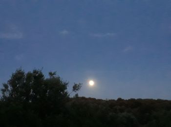 Randonnée Marche Collias - Rando crepuscule Gorges du gardon - Photo