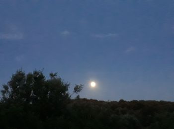 Randonnée Marche Collias - Rando crepuscule Gorges du gardon  - Photo