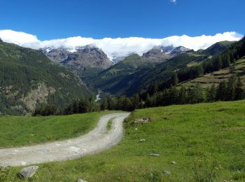 Trail On foot Ayas - (SI F18) Rifugio Grand Tournalin - Crest - Photo