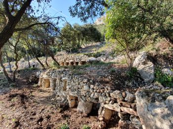 Excursión Senderismo Lamanon - Les murs d'abeilles  - Photo