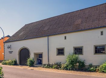 Excursión A pie Kehlen - Promenade Historique Kehlen - Photo