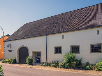 Trail On foot Kehlen - Promenade Historique Kehlen - Photo