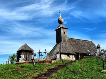 Tocht Te voet  - Românești - Peștera Românești - Photo