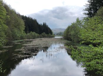 Excursión Senderismo Condat - Lac des Moines Chemin du lac - Photo