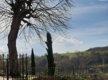 Randonnée Marche Dinant - Dinant: autour de la Citadelle.  - Photo