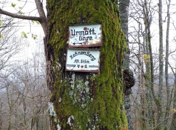 Tour Wandern Mühlbach an der Breusch - Muhlbach sur Bruche - Photo