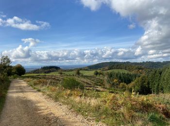 Excursión Senderismo Châteldon - Randonnée du Vauziron à la Chasserelle - Photo