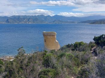 Trail Walking Saint-Florent - st Florent phare de Motella et plage Lotu - Photo