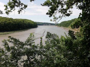 Trail Walking Taden - Fred moulin du prat  - Photo