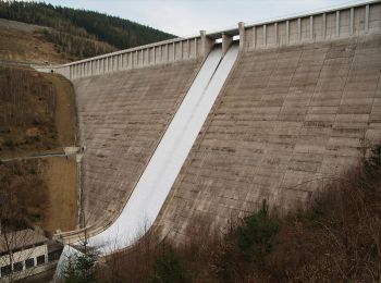 Randonnée A pied Unterweißbach - Naturlehrpfad Wasser - Photo