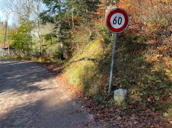 Randonnée A pied Le Locle - Les Frêtes - fixme - Photo