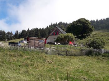 Tocht Stappen Autrans-Méaudre en Vercors - Autrans - la Molière - Pas du Tracollet  -,les Feneys - Photo