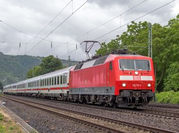 Tour Zu Fuß Sankt Goarshausen - Bergbau- und Landschaftspfad Ehrenthal-Prath-Wellmich - Photo