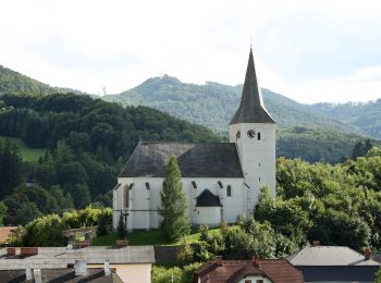 Tocht Te voet Gemeinde Kaumberg - Fuchsweg (Kaumberg - Jura - Grub - Ederhof - Haltestelle Kaumberg) - Photo