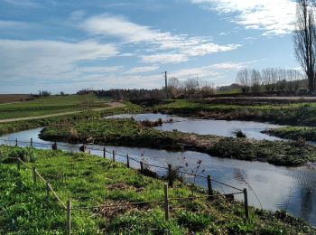 Randonnée Marche Villepreux - Villepreux - Rennemoulin par le ru de Gally - Photo